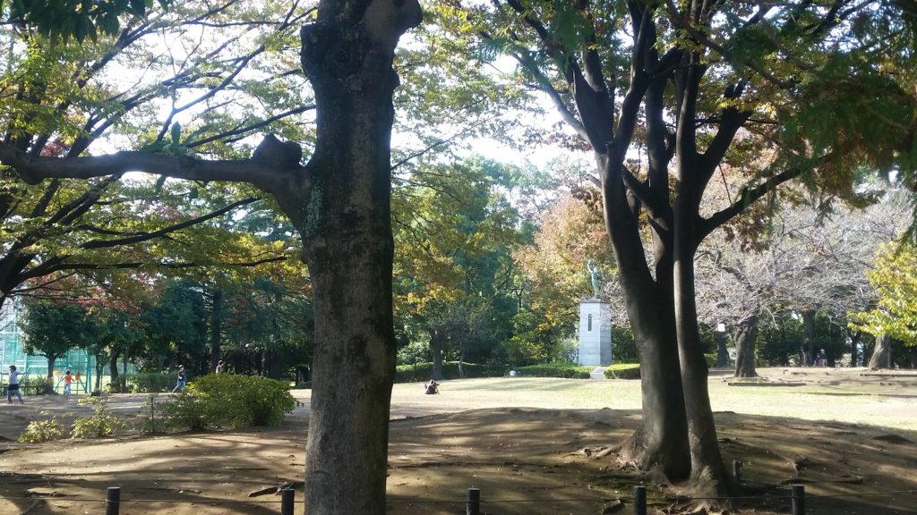 萩中公園　桜の木立。お花見の頃は人が沢山。