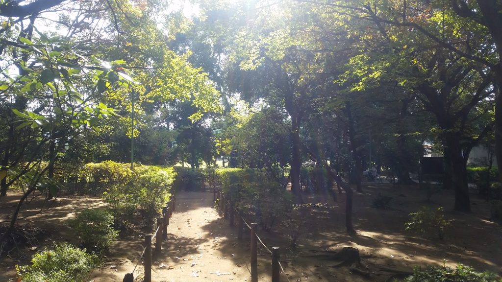 萩中公園　遊歩道です。