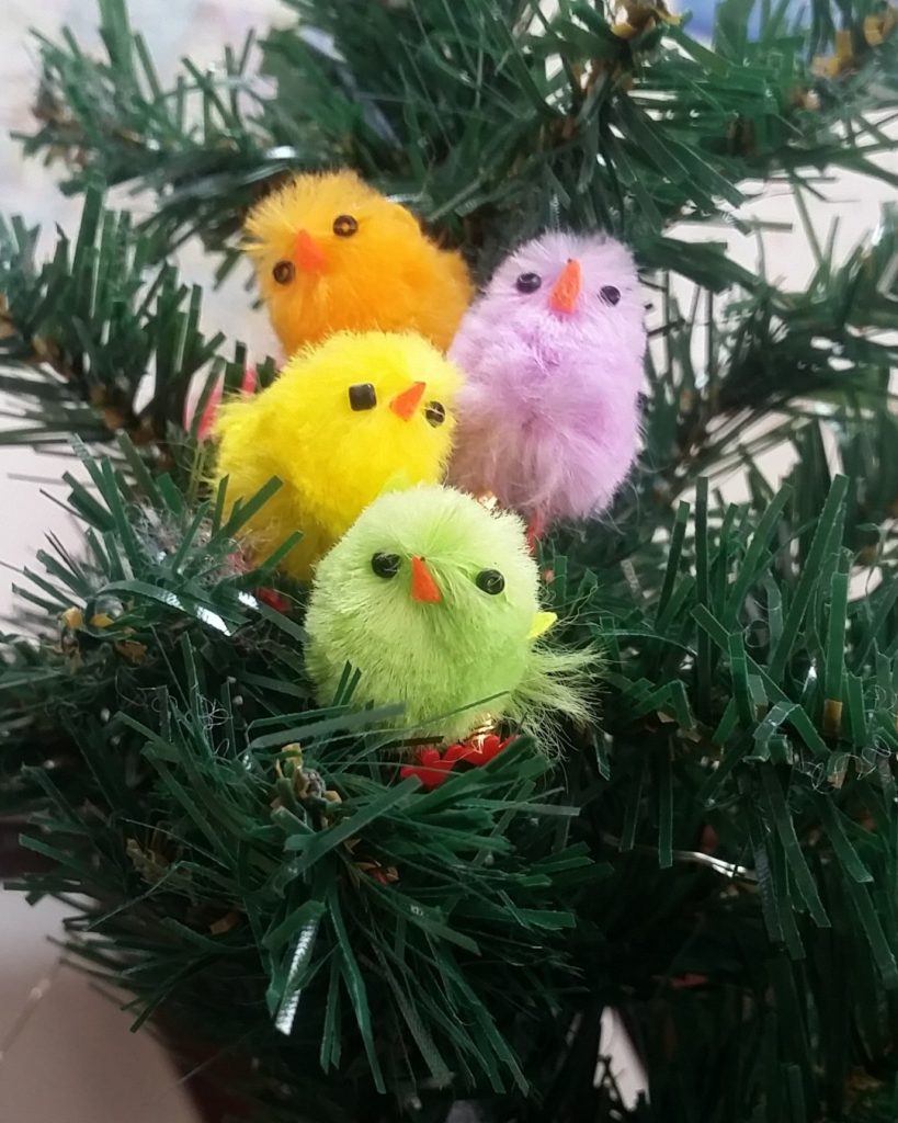 クリスマスの鳥さんたちです。
