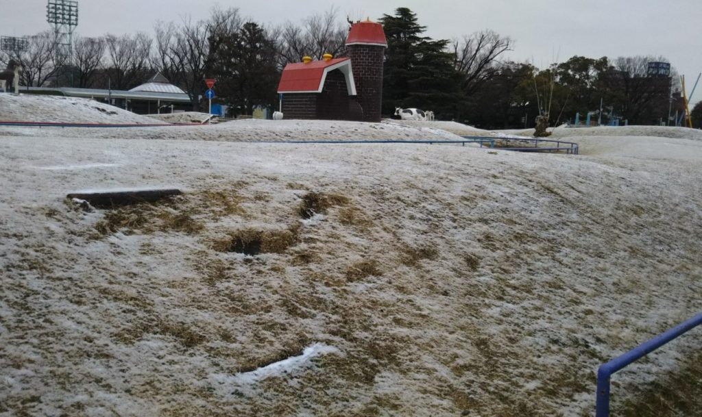 萩中公園の芝生に雪が積もりました。