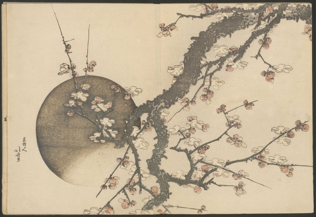 葛飾北斎の描いた、月と梅の花です。