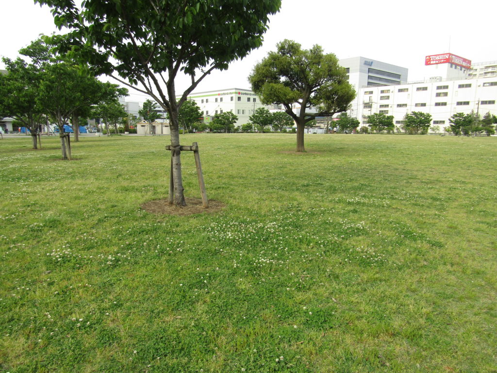 東糀谷防災公園の芝生の広場です
