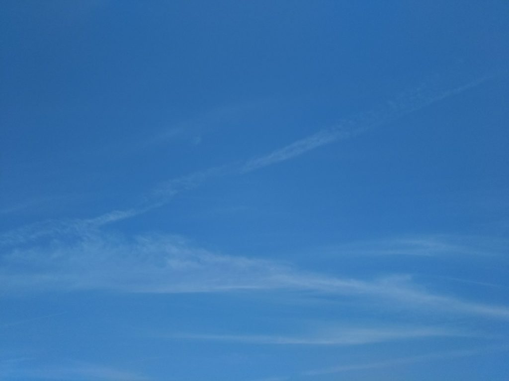五月の青い空です。
