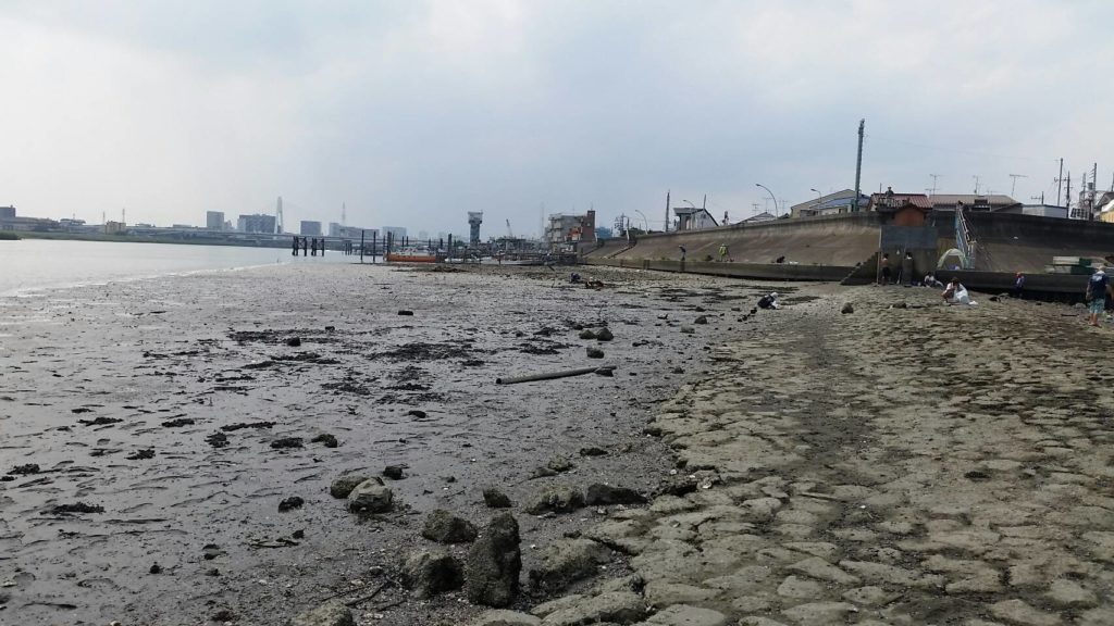 多摩川の河口、五十間鼻の引き潮の光景です。