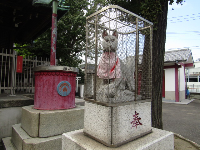 大田区大森南の浦守稲荷神社の狐です。