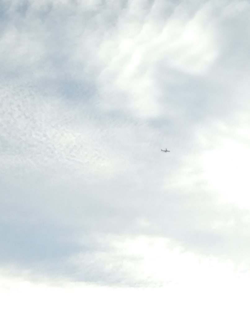 曇り空を飛ぶ飛行機です。