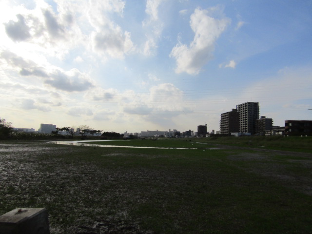 台風１９号で多摩川の水があふれてぬかるんでいる多摩川大師橋緑地です。