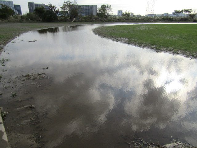 台風で多摩川から流れた水がまだ乾かない大師橋緑地です。