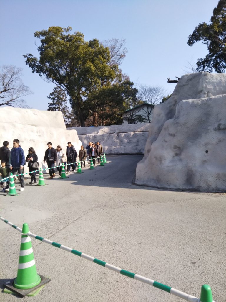 熊本城内の見学路です。石が養生されています。