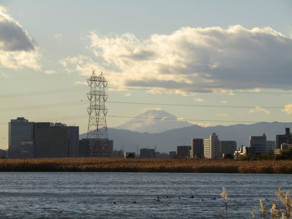多摩川の向こうに見える富士山です。