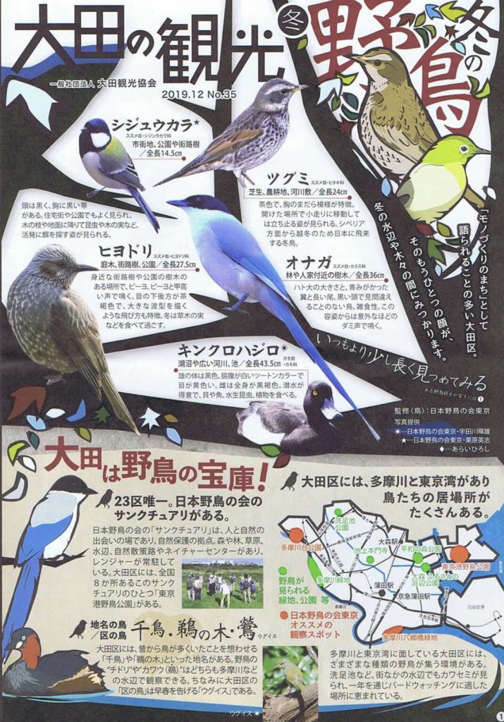 大田区観光協会で出している冬の野鳥のパンフレットです。
