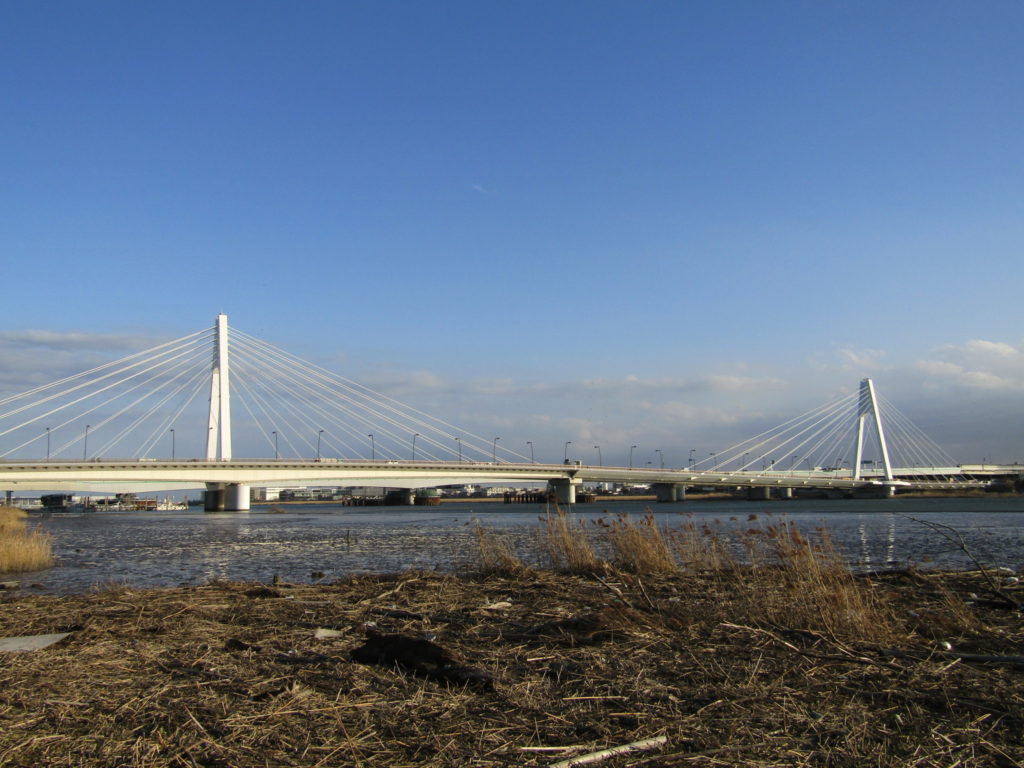 多摩川の干潟と大師橋です。