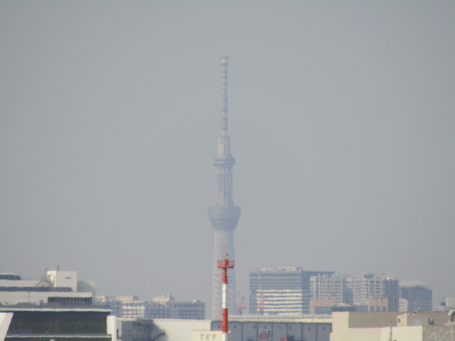 羽田ソラムナードから見た東京スカイツリーです。