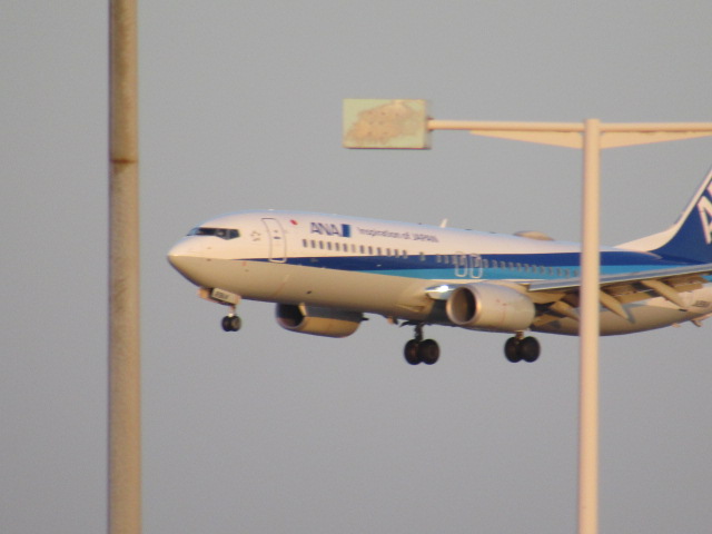 羽田空港に着陸しようとする飛行機です。