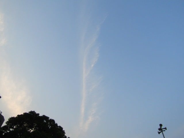 多摩川上空の雲です。