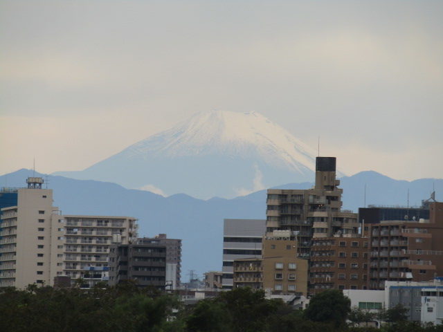 多摩川大師橋緑地から見える富士山です。