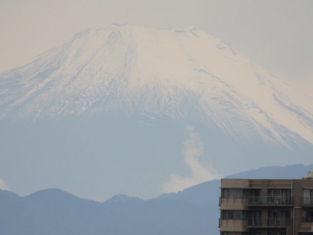 多摩川大師橋緑地から見た富士山です。