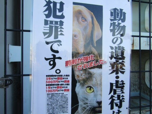 羽田第二水門にある動物虐待防止のチラシです。
