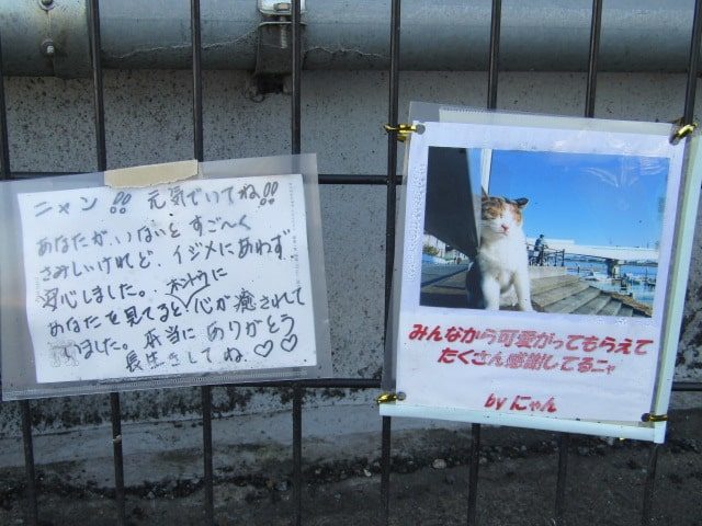 羽田第二水門にいた猫へのメッセージです。
