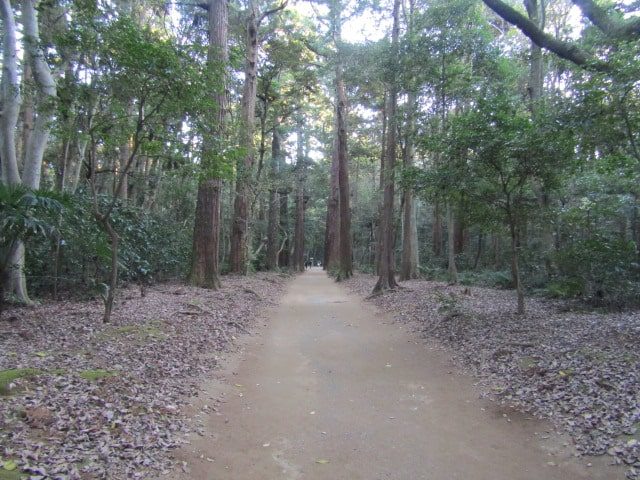 神社の境内の林道です。