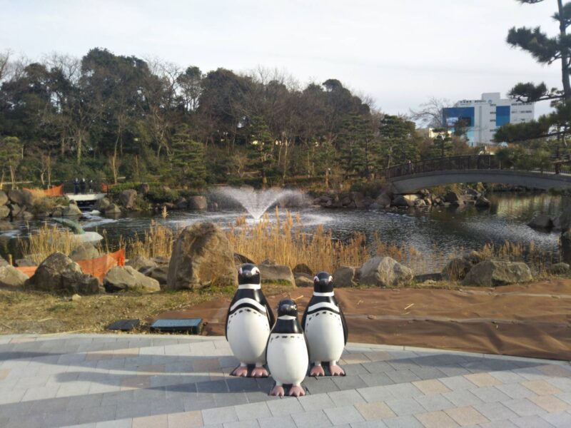 品川区民公園の噴水池の前のペンギンです。