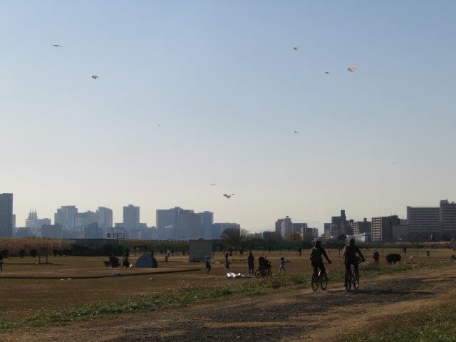多摩川の大師橋緑地での凧あげです。
