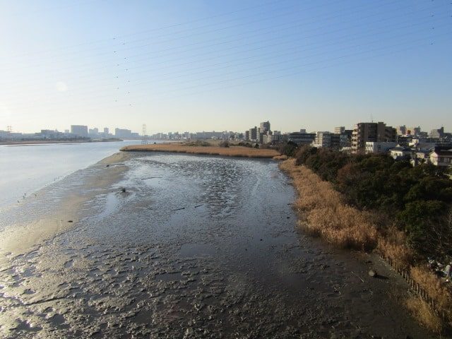 多摩川の干潟を大師橋から見た様子です。