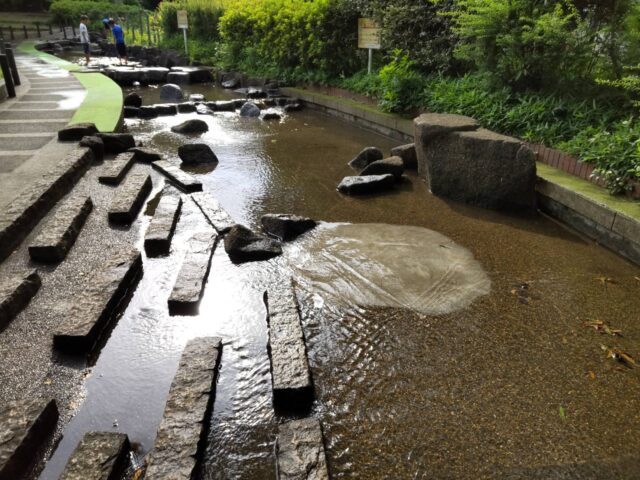 大田区萩中公園の親水施設です。