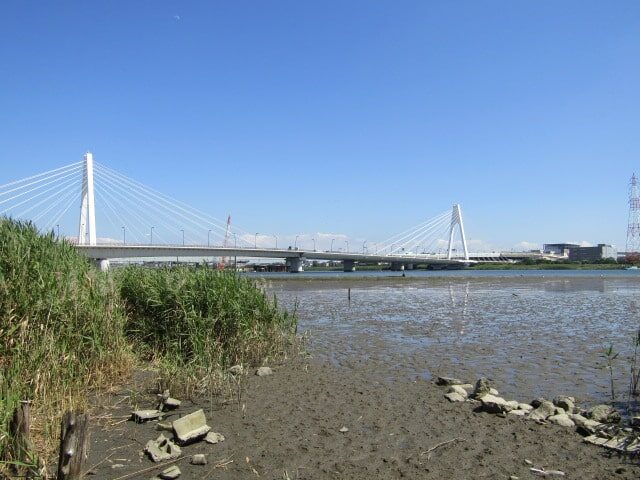 多摩川の干潟です。