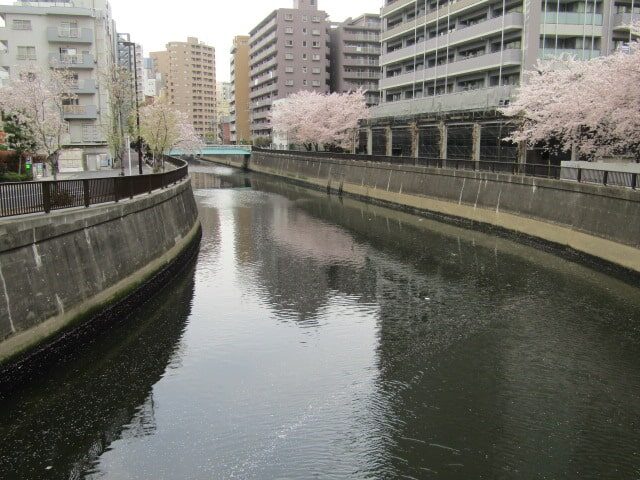 京急蒲田駅近くの呑川です。