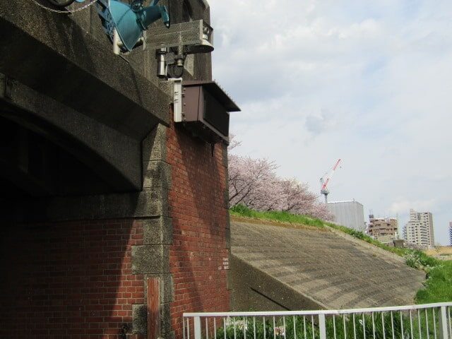 六郷の水門と桜です。