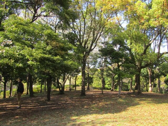 大田区平和の森公園です。