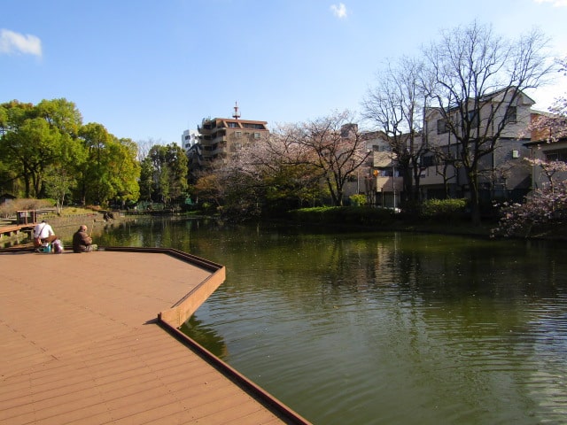 大田区の平和の森公園のひょうたん池です。