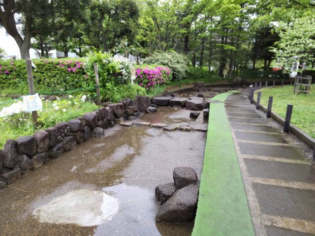 大田区萩中公園の流れる川