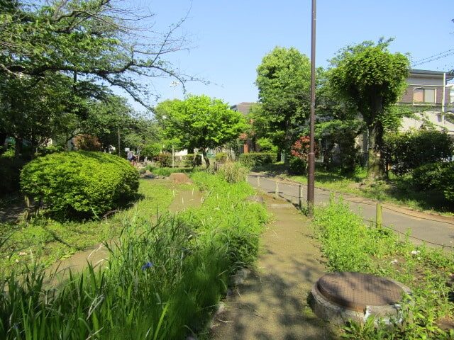 旧吞川緑地公園です。