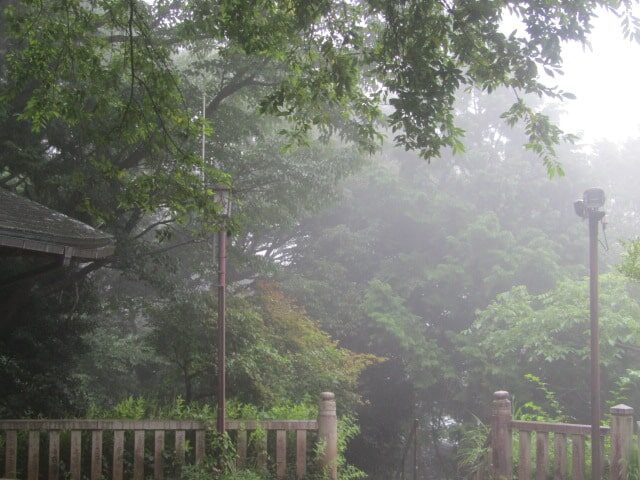高尾山の霧雨