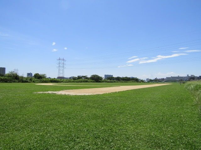 夏の多摩川大師橋緑地