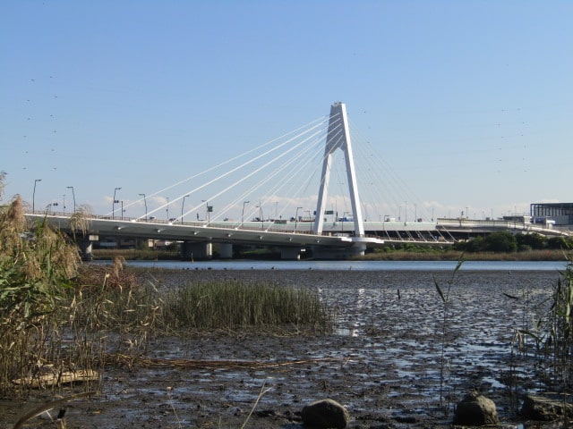 多摩川の干潟から見た大師橋