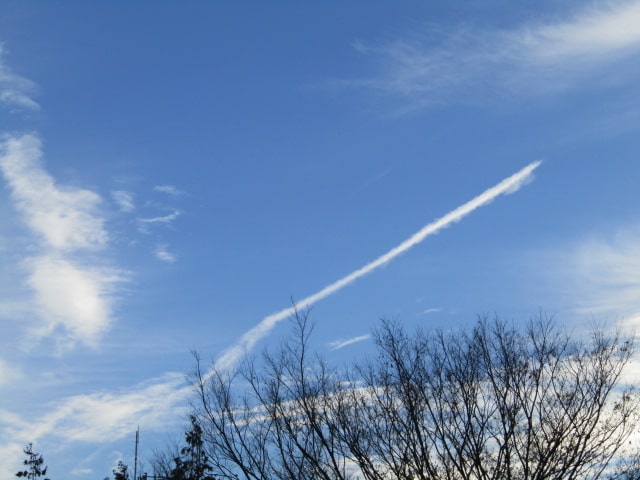 大田区上空の飛行機雲