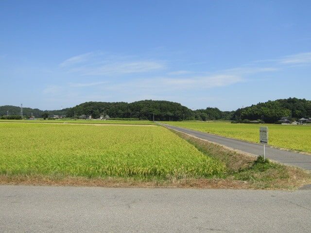 香取の田んぼ