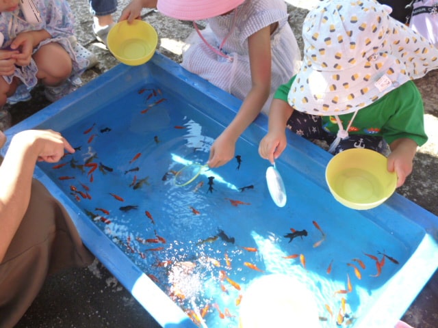 観音堂ちびっこ大会の金魚すくい