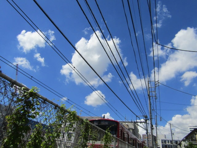 京急空港線の線路わき