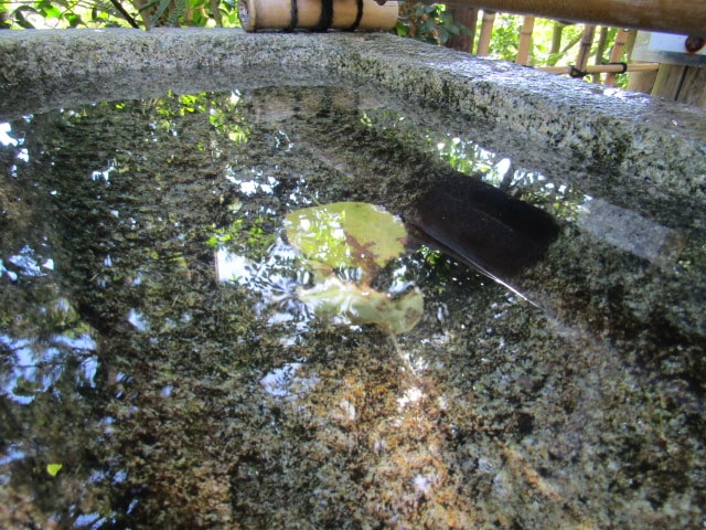 杉本寺の手水