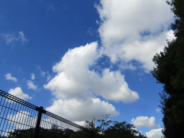 萩中公園の空