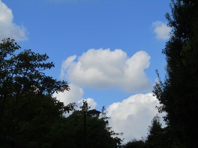 糀谷の空