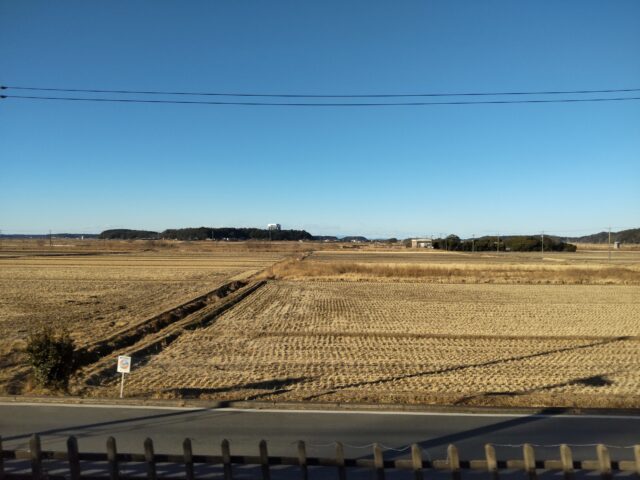 千葉県の冬の田んぼ