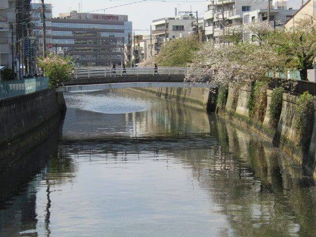 呑川に架かる橋