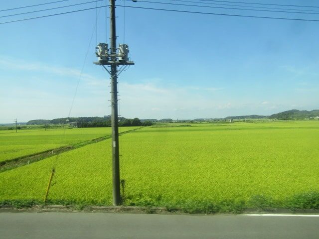 京成線からの眺め